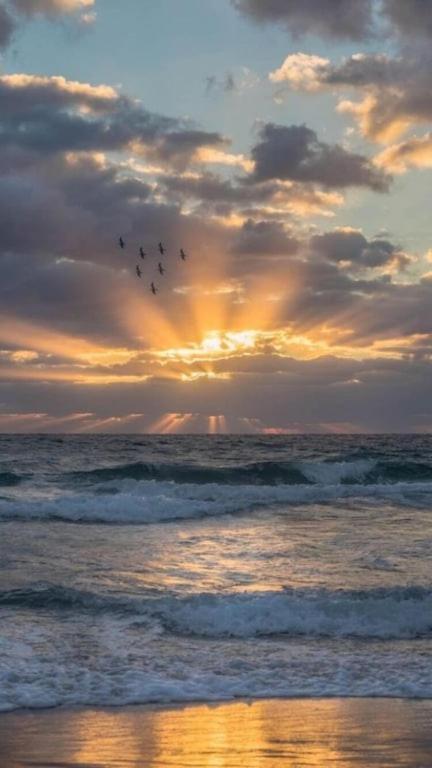 Amelia Island Oceanfront Condo Amelia City Luaran gambar