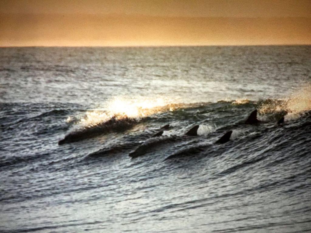 Amelia Island Oceanfront Condo Amelia City Luaran gambar